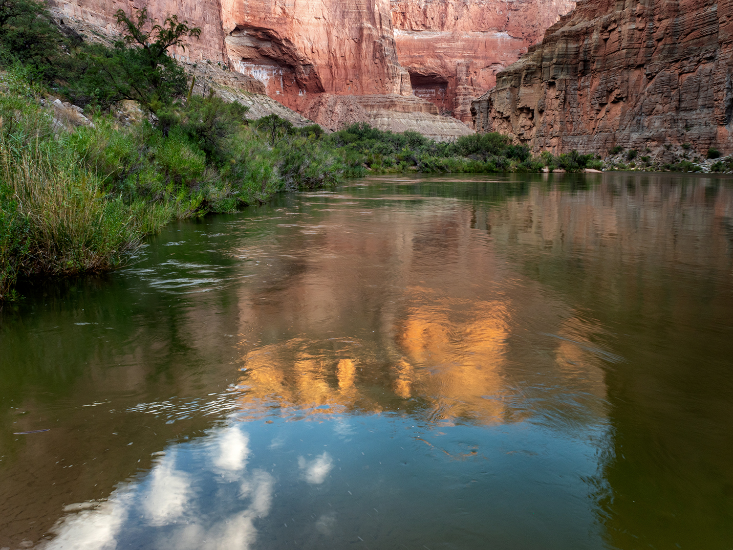 Reflections of unnamed cliffs on the Colorado River as viewed from Lower Saddle Camp (mile 48) on the Grand Canyon, Grand Canyon National Park, AZ, USA